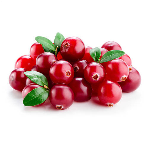Cranberry Extract Powder