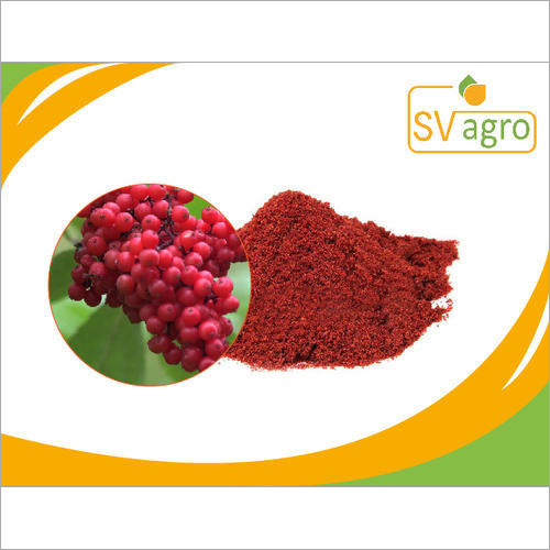Schisandra Chinensis Extract - 99% Pure Red Fruit Powder, Solvent Extraction, 5 kg Minimum Shelf Life, 2 Years