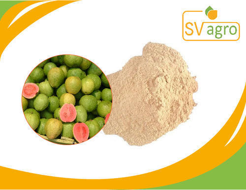 Greenish Spray Dried Guava Powder