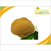Olive Leaf Extract Grade: Na