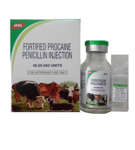 Fortified Procaine Penicillin Injection Grade: A