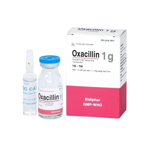 Oxacillin Injection