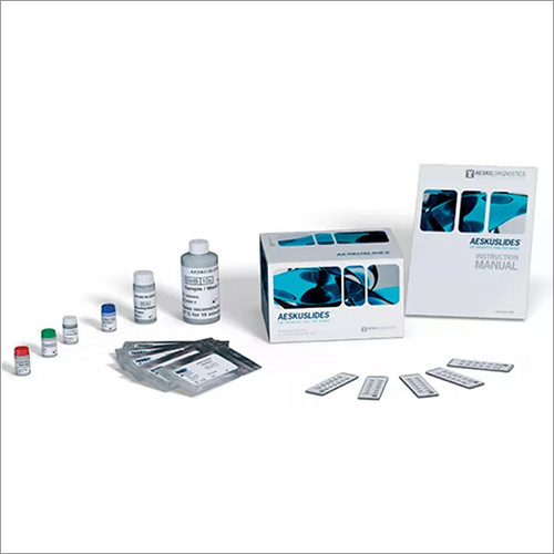 ANA-HEp-2 IFA Kit