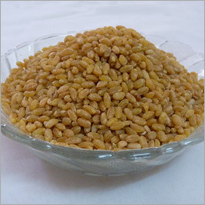 Duram Broken Wheat