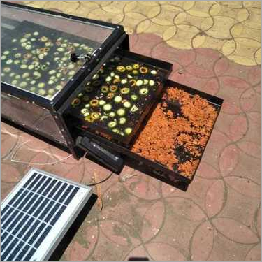Solar Dryer for Olives Leaf