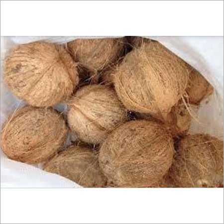 Husked Coconut - 600kg, Sweet Glutinous Variety with 3-Month Shelf Life | Versatile for Culinary Uses, Perfect for Desserts and Snacks