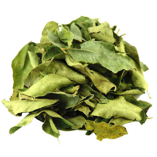 Curry Leaves And Curry Leaves Powder Dehydration Method: Air Dried