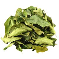 Curry Leaves And Curry Leaves Powder