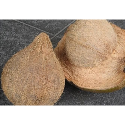 Brown Fresh Coconut
