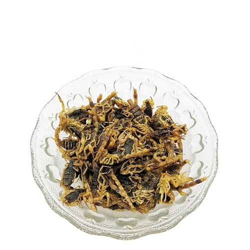 Natural Herb Quan Xie Zi Dried Scorpion