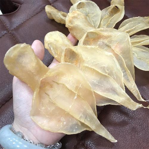 Yu Jiao Swim Bladder Hot Sell Nourishment Dried Fish Gelatin