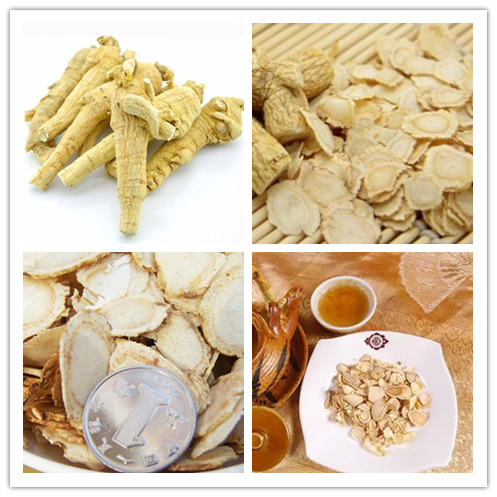 Xi Yang Shen Good Quality Best Price Dried Wild America Ginseng