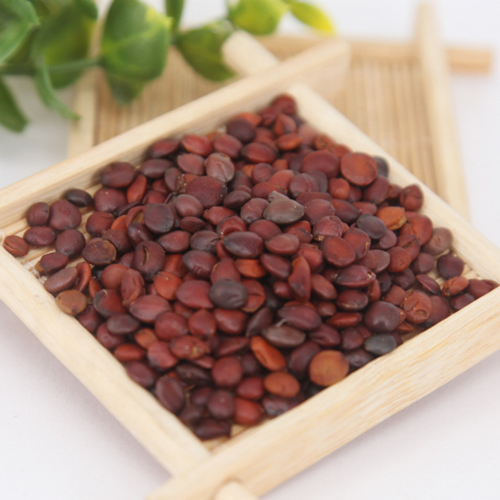 Suan Zao RenWholesale Natural Herb Shandong Seed Of Wild Jujube Ash