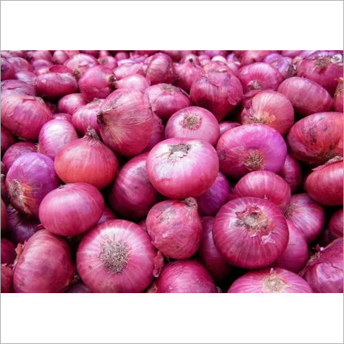 Red Onion