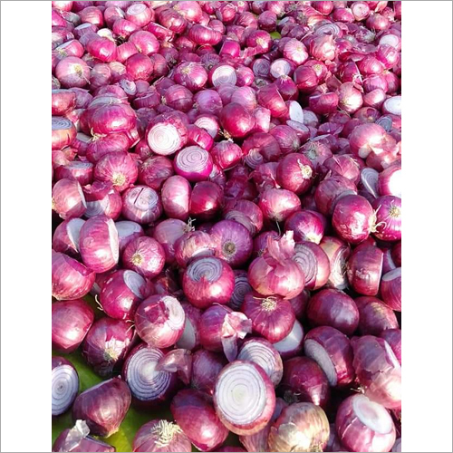 Fresh Red Onion