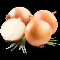 Light Red Onion