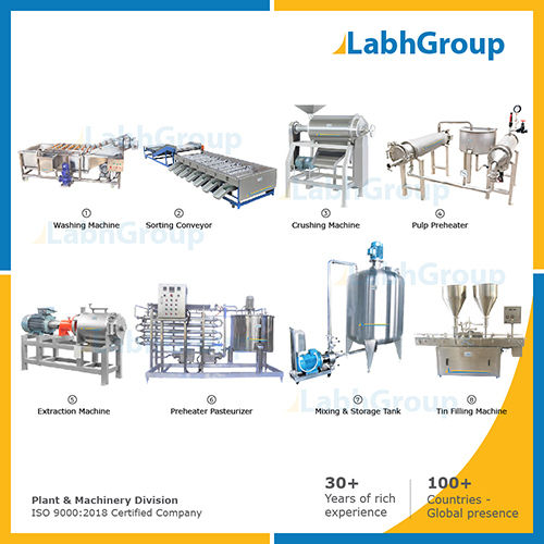 Fruit And Vegetable Pulp Processing Machine