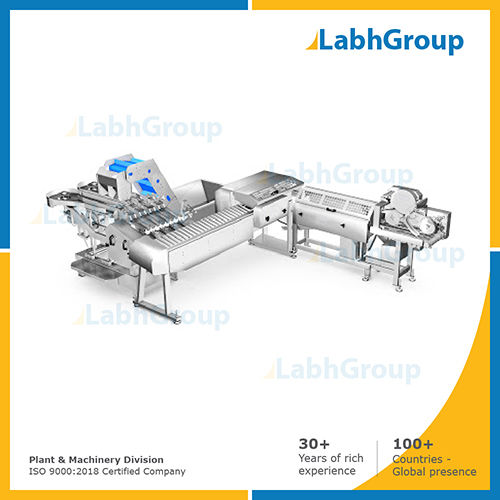 Fish processing machine