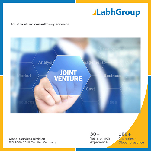 Joint venture consultancy services