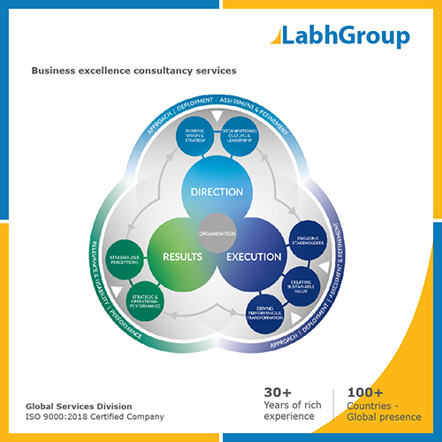 Business excellence consultancy services