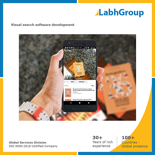Visual Search Software Development