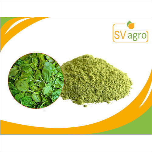 Herbal Extract Spray Dried Spinach Powder