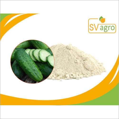Food Grade Cucumber Extract Spray Dried Powder
