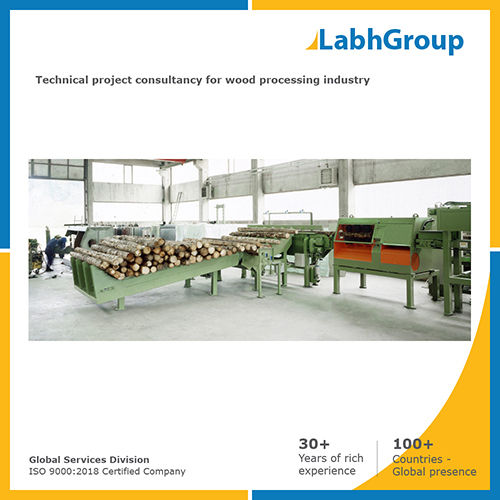 Technical project consultancy for Wood processing industry