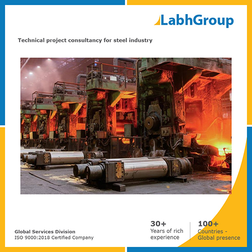Technical project consultancy for Steel industry