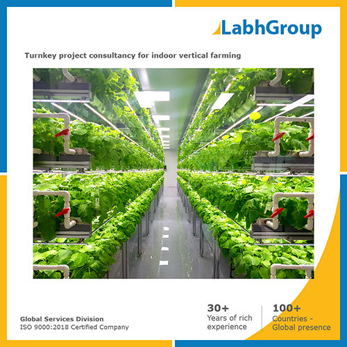 Turnkey project consultancy for Indoor vertical farming