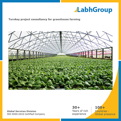 Turnkey project consultancy for Greenhouse farming