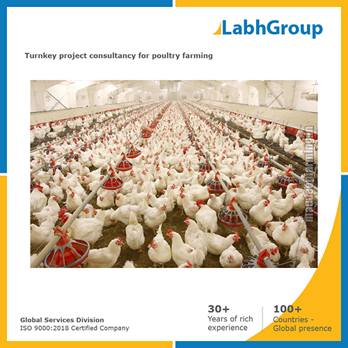 Turnkey project consultancy for Poultry farming By LABH PROJECTS PVT. LTD.