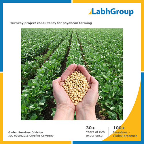 Turnkey project consultancy for Soyabean farming