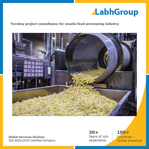 Turnkey project consultancy for Snacks food processing industry