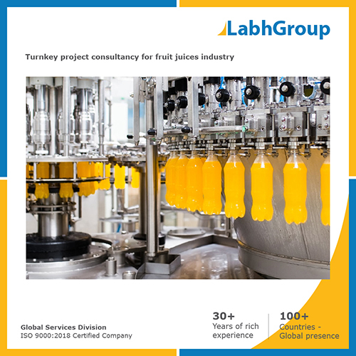 Turnkey project consultancy for Fruit juices industry