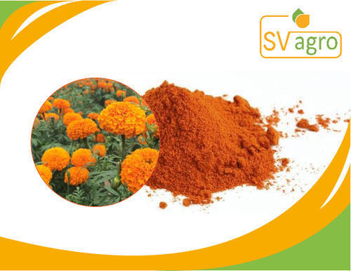 Orange 10 Percent Zeaxanthin Extract