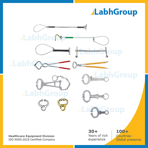 Bull Holders for Veterinary Hospital