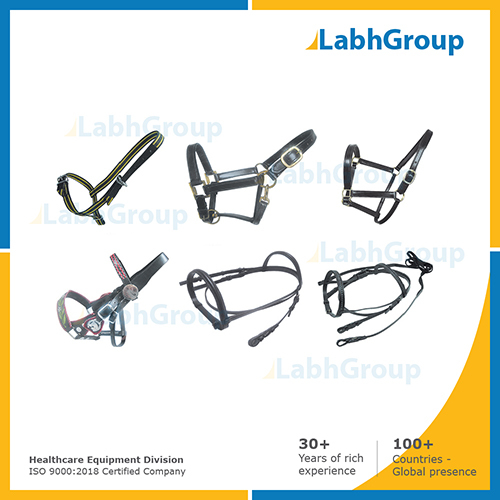 Halters for veterinary hospital