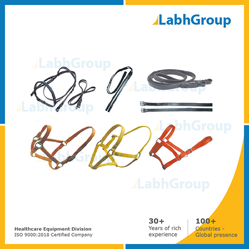 Harness for veterinary hospital
