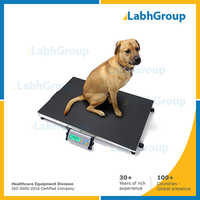 Pet scales for veterinary hospital