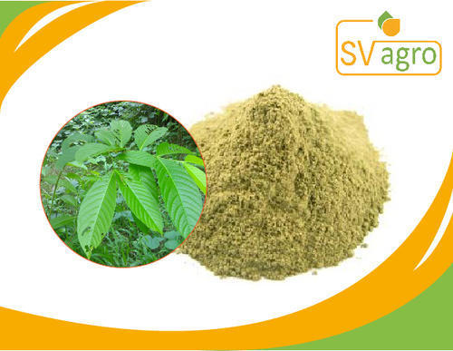 Natural Banaba Extract 1%