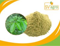 Natural Banaba Extract 1% Grade: Na