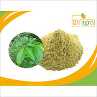 Banaba Leaf Extract Grade: Na