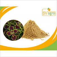 Coleus Forskohlii Herbal Extract - 99% Purity, Light Brown Powder | Solvent Extracted Leaf, Supports Blood Pressure Health And Nutrient Absorption