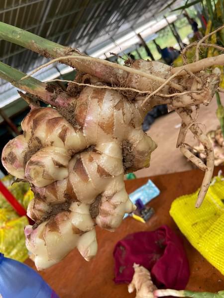 Fresh Ginger