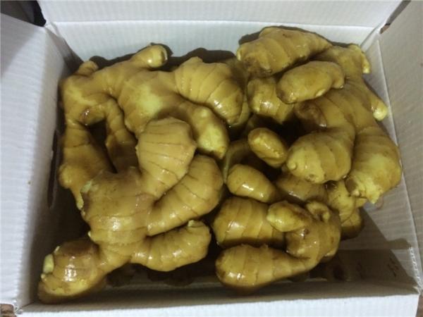 Fresh Ginger