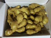 Fresh Ginger