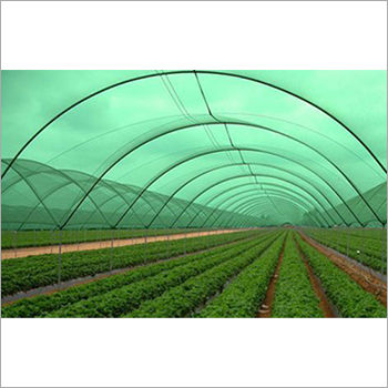 Green Shade Net Size: As Per Requirement