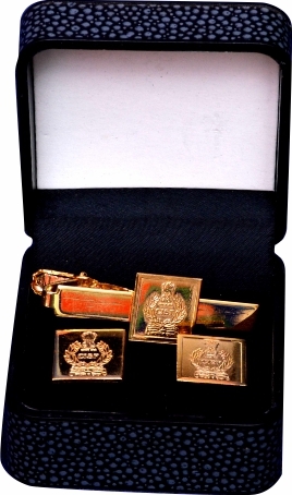 Metal Fancy Badges And Lapel Pins