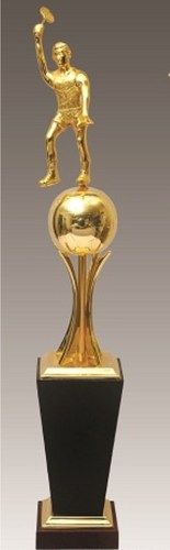 Sports Trophy